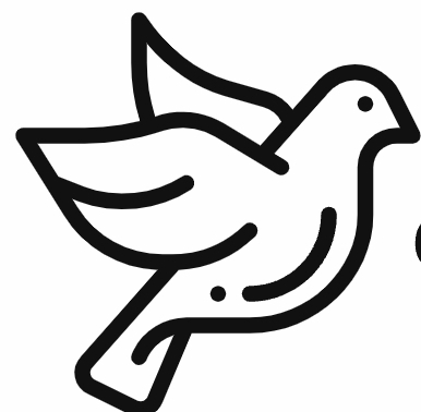 飞鸽传书-阅后即焚