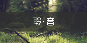聆 · 音-白噪音
